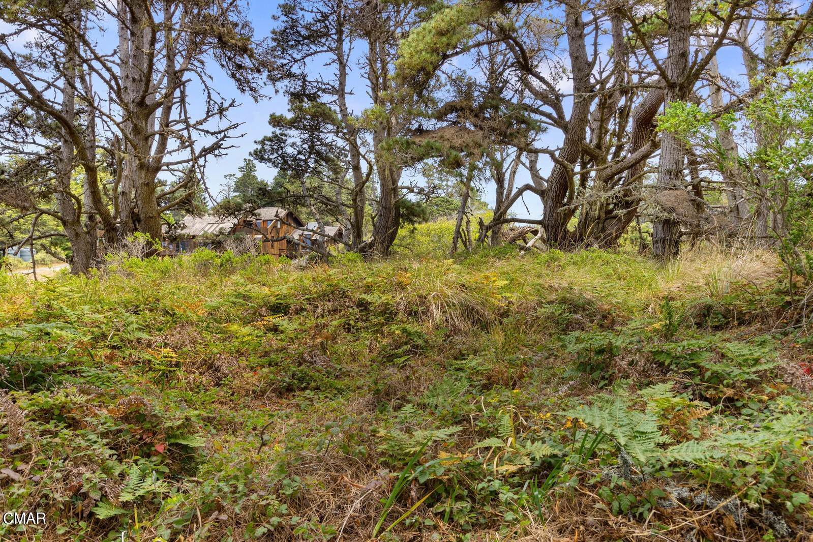9. Acreage for Sale at Drifters Reef Road Mendocino, California 95460 United States