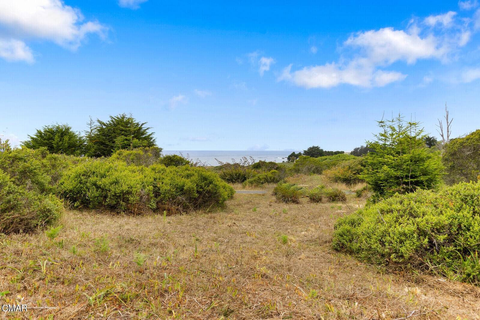 7. Acreage for Sale at Drifters Reef Road Mendocino, California 95460 United States