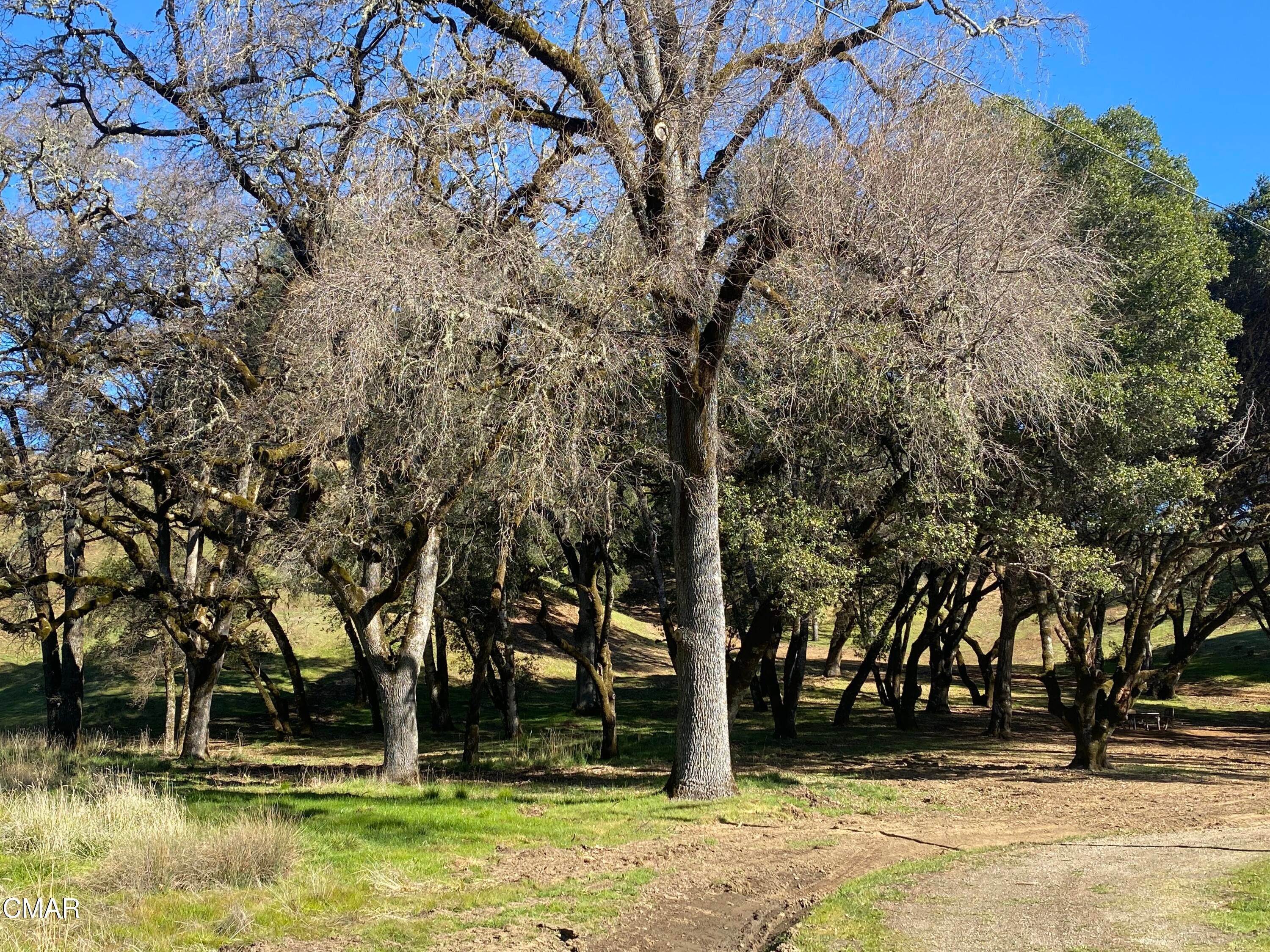 6. Acreage for Sale at 5900 Long Valley Ranch Road Ukiah, California 95482 United States
