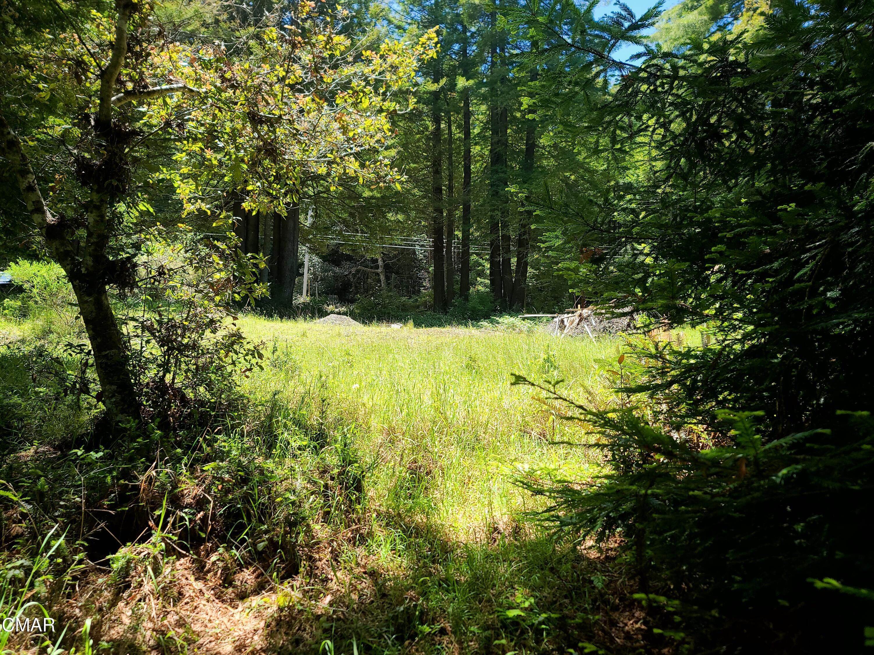 9. Acreage for Sale at 33350 Little Valley Road Fort Bragg, California 95437 United States