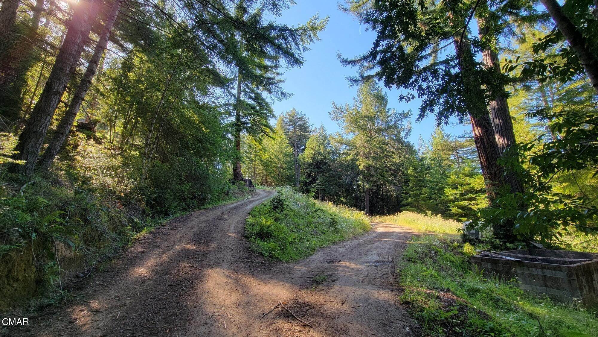 2. Acreage for Sale at 7700 Flynn Creek Road Comptche, California 95427 United States
