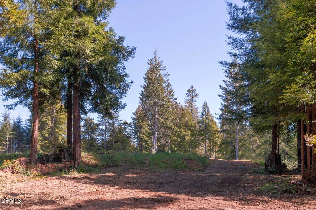 6. Land for Sale at 27972 Highway 20 Fort Bragg, California 95437 United States
