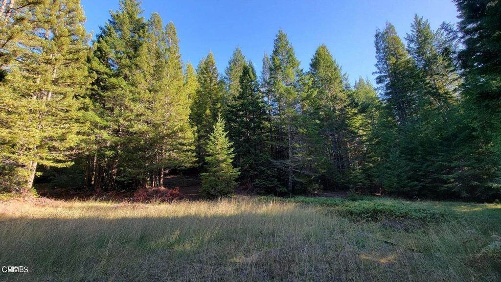 16. Land for Sale at 26030 Comptche Ukiah Road Comptche, California 95427 United States