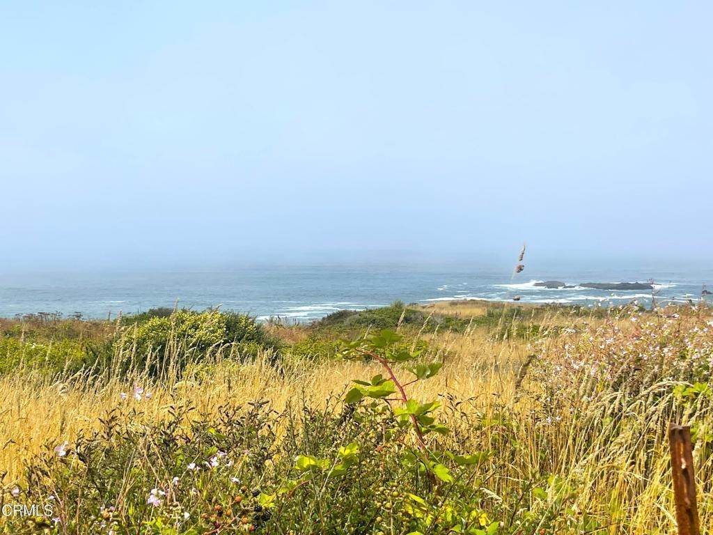 Land for Sale at 36880 Highway 1 Westport, California 95488 United States
