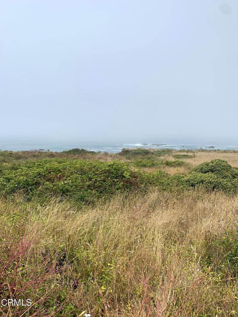 7. Land for Sale at 36880 Highway 1 Westport, California 95488 United States