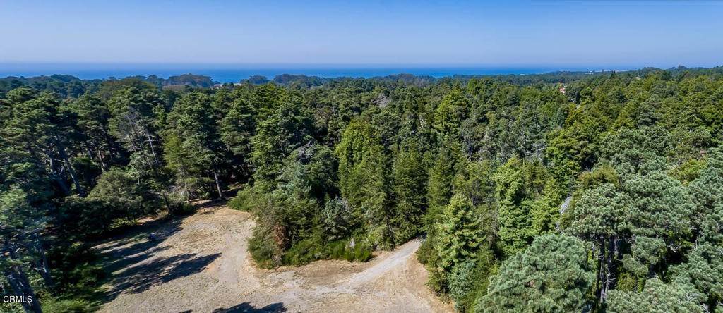 Land for Sale at 17625 Boice Lane Fort Bragg, California 95437 United States
