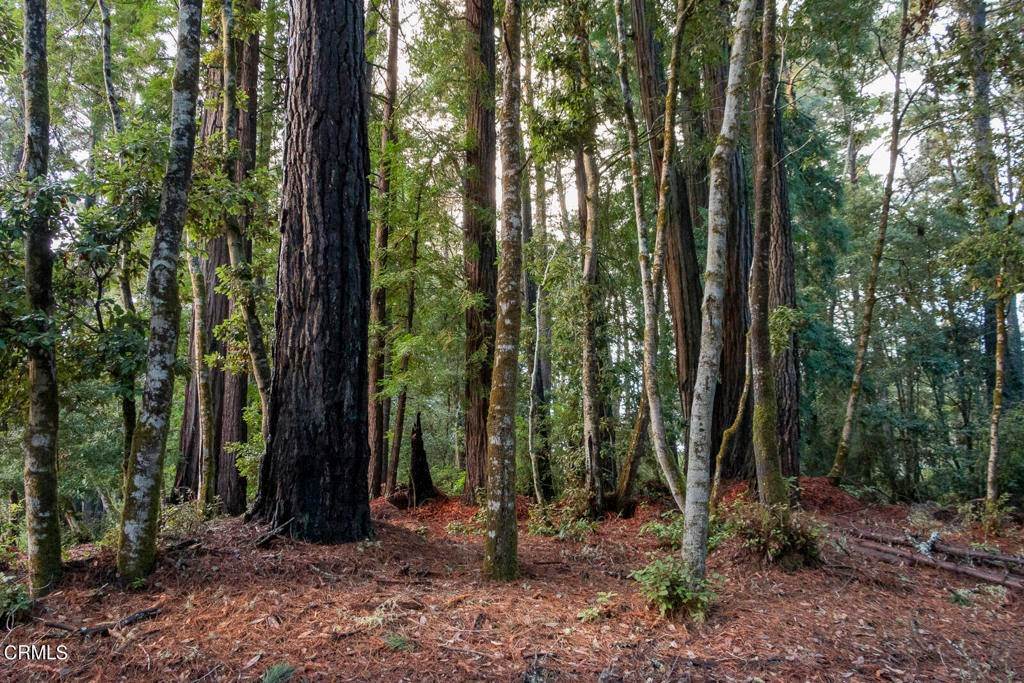 18. Land for Sale at 18830 Dwyer Lane Fort Bragg, California 95437 United States