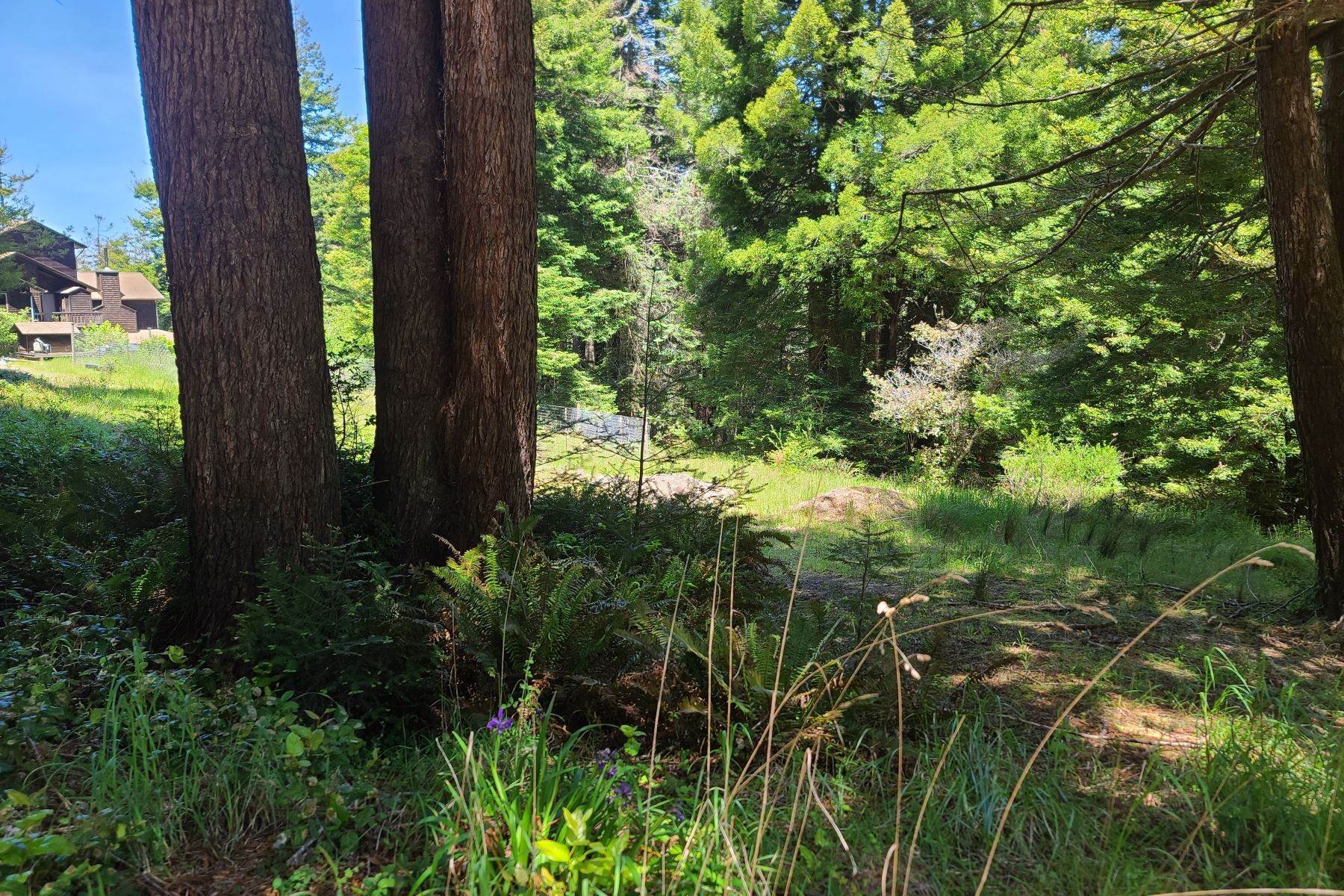 6. Land for Sale at 33350 Little Valley Road Fort Bragg, California 95437 United States