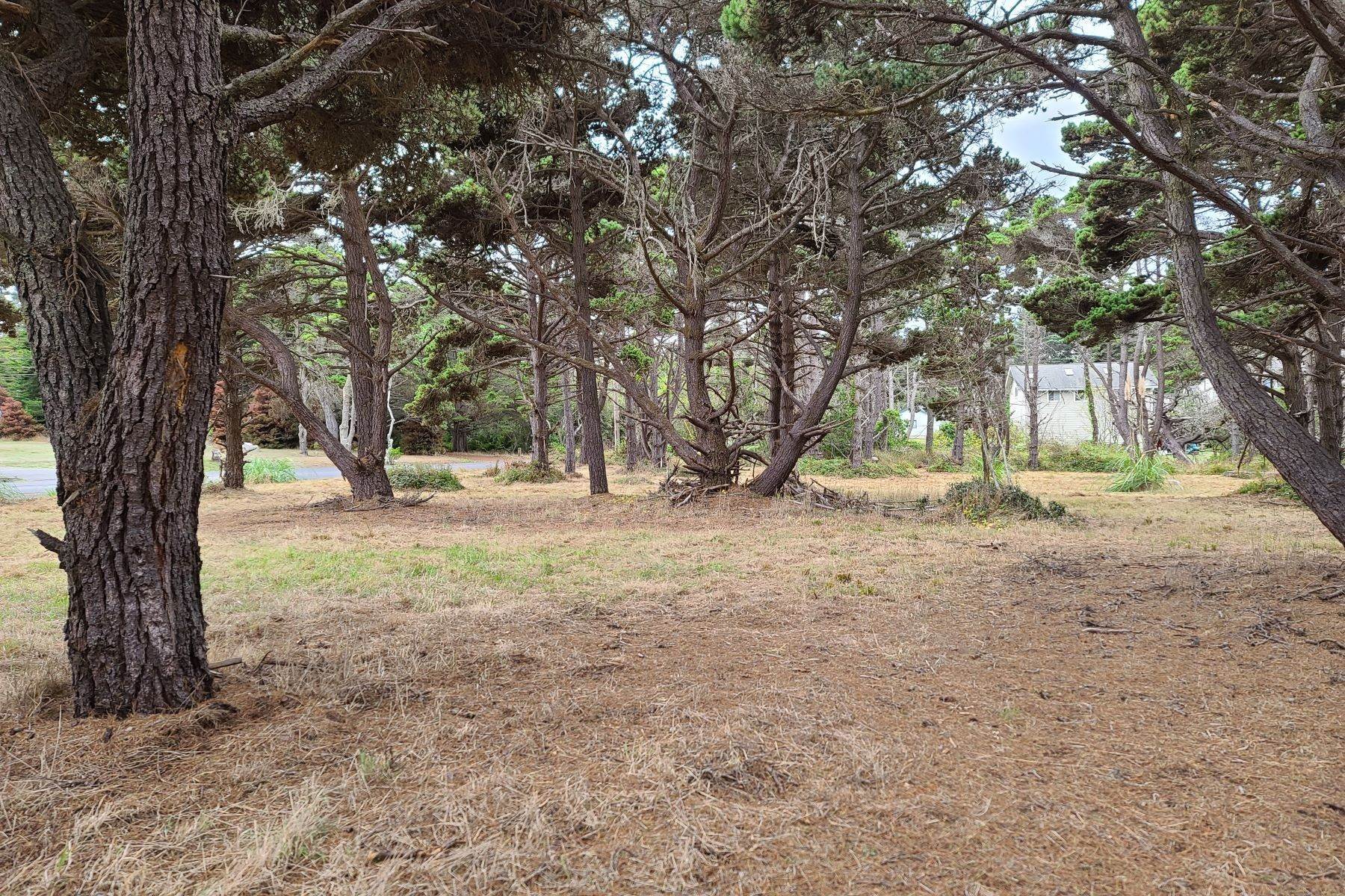 Land for Sale at 18600 Cypress Road Fort Bragg, California 95437 United States