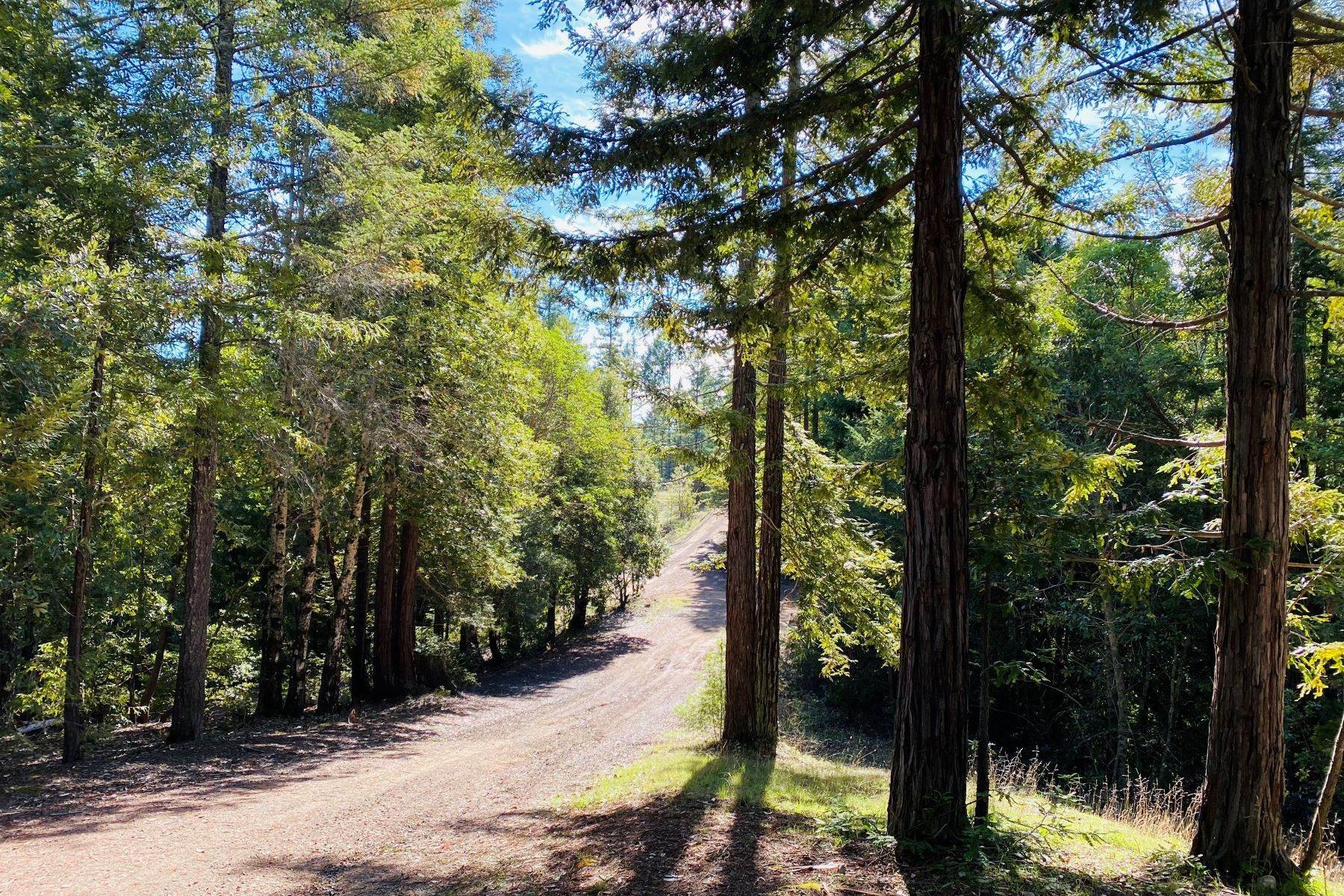 4. Property for Sale at Cold Springs Mountain Ranch 8601 Signal Ridge Road Philo, California 95466 United States