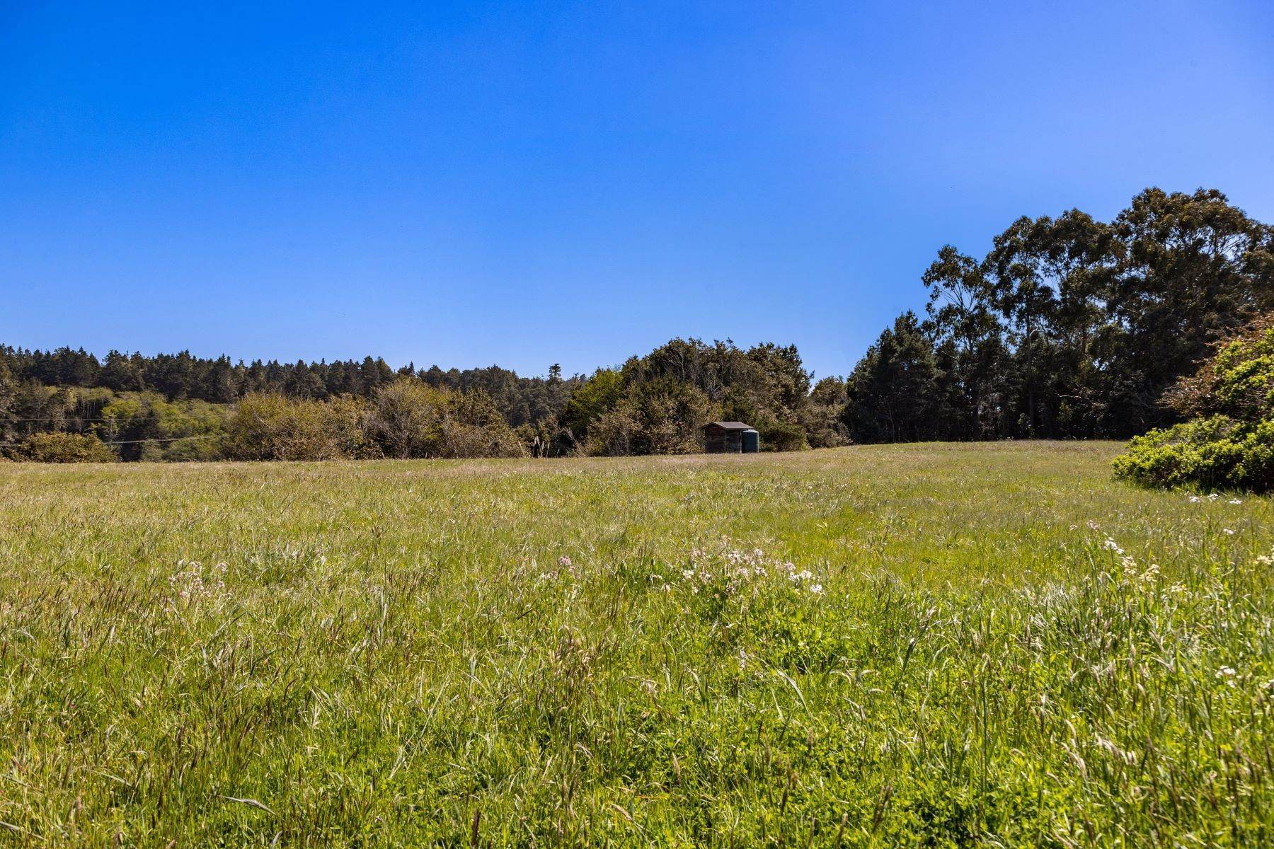 15. Land for Sale at Noyo River Wonderland! 440 South Street Fort Bragg, California 95437 United States