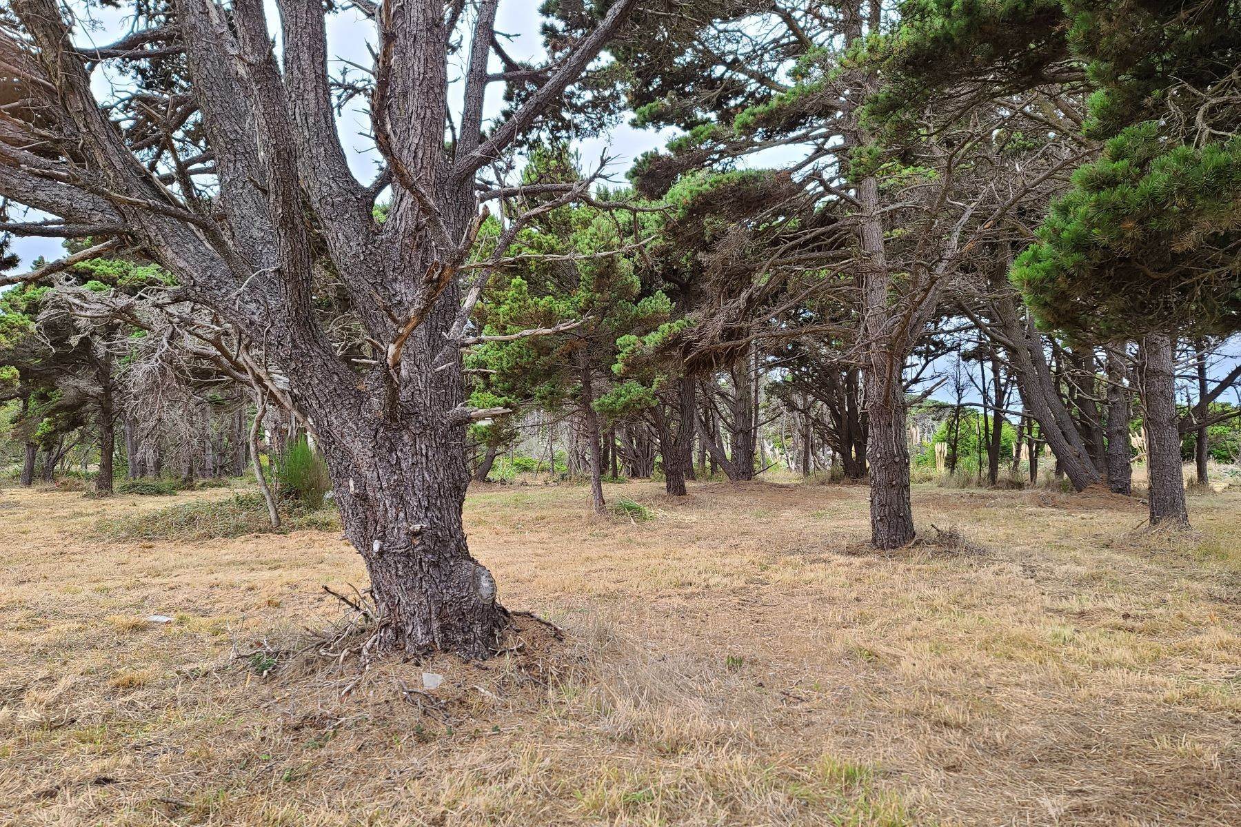 2. Land for Sale at 18600 Cypress Road Fort Bragg, California 95437 United States