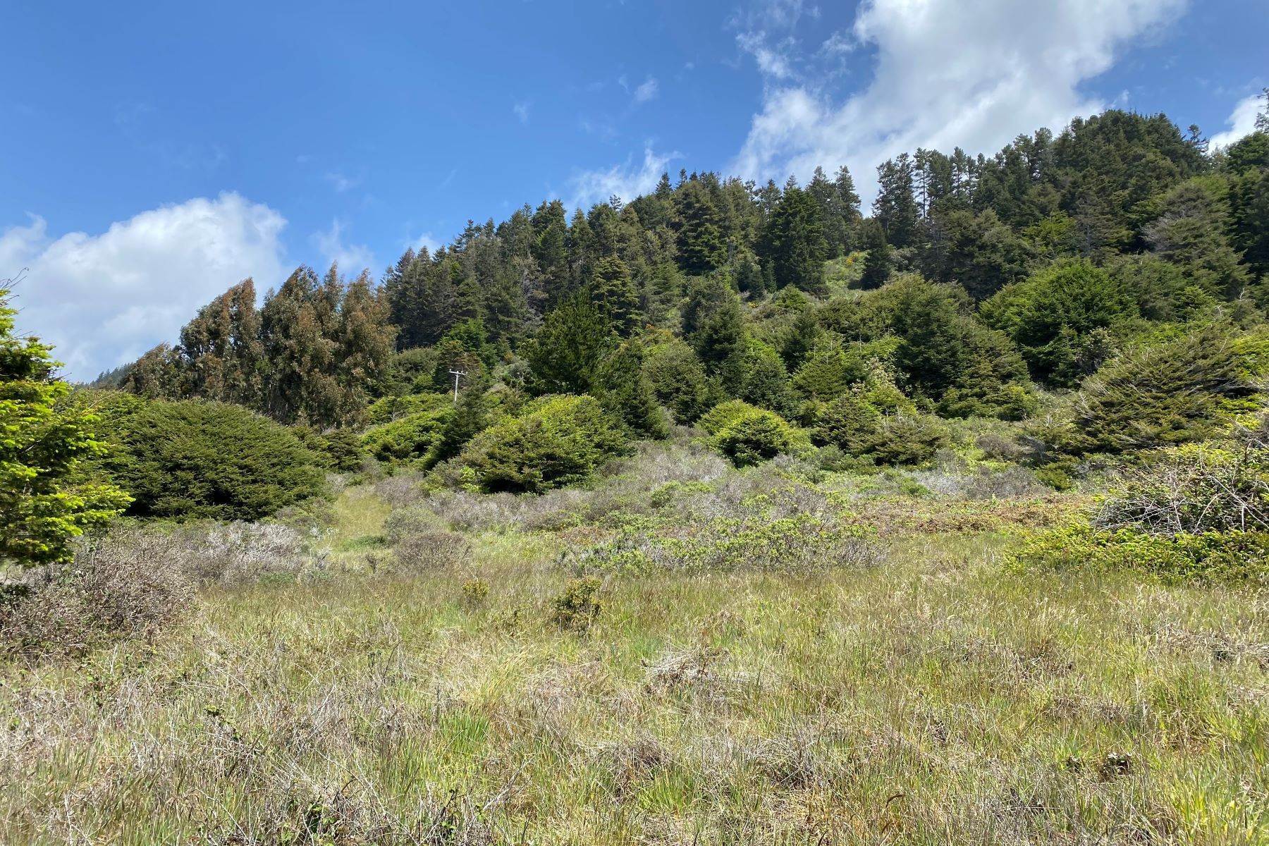 10. Land for Sale at Sea View 25021 Seaview Drive Westport, California 95488 United States