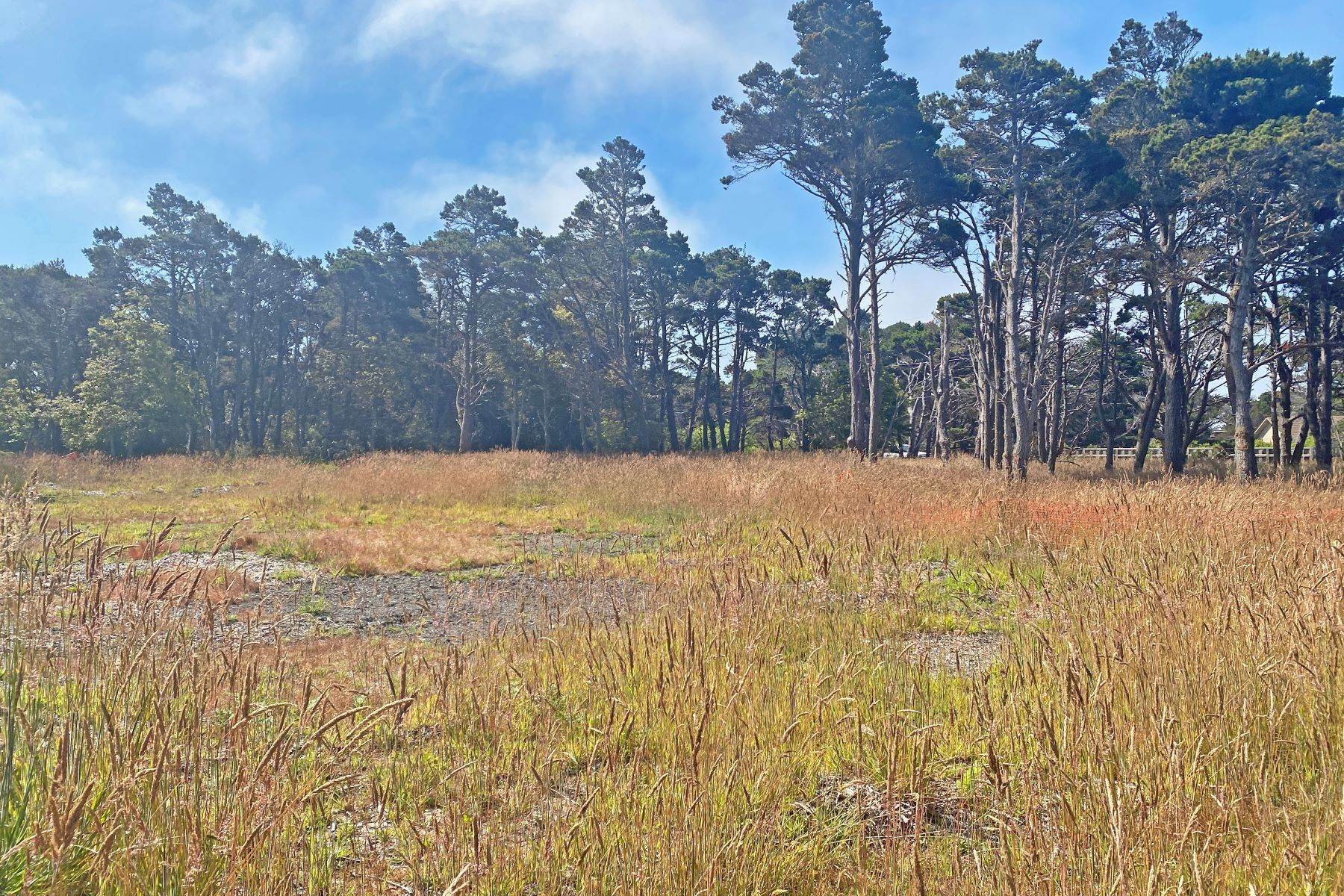 8. Land for Sale at Paradise Landing 45465 Pacifica Drive Caspar, California 95420 United States